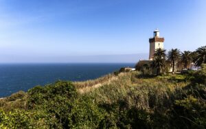 Tangier tour and camel riding at the sunset (3 to 4 hours)